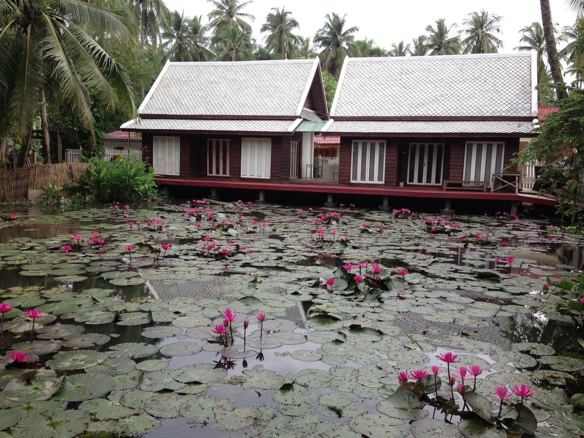Luang Prabang Oasis Hotel Zewnętrze zdjęcie